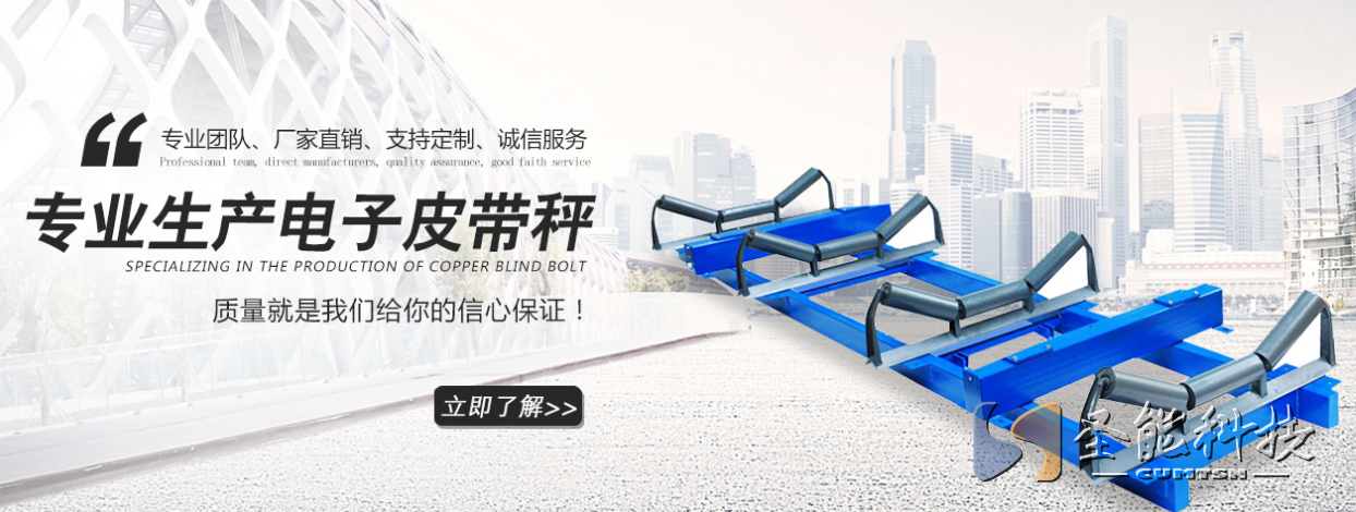<a href='//www.fjhzzx.com' target='_blank'><u>皮带秤厂家</u></a>